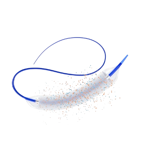 PeVaDilat Drug-Coated Peripheral Balloon Dilatation Catheter