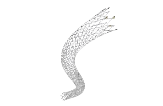 ZENFLEX Peripheral Stent System